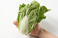 【水不足で畑がピンチ】雨が降らないため白菜が規格外にOisixで「まいてない白菜」として商品化し販売開始（2/19〜）