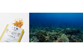オイシックスのCVC「Future Food Fund」食品残渣×独自のAI技術を駆使して”うま藻”を育てる「AlgaleX」に投資実行