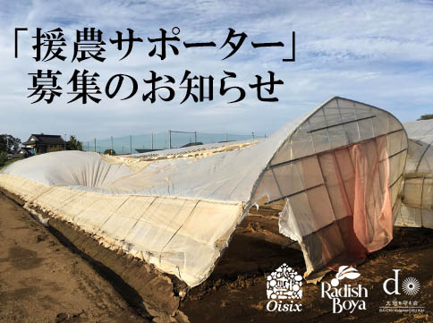 千葉県の台風被災産地の援農ボランティアを募集
