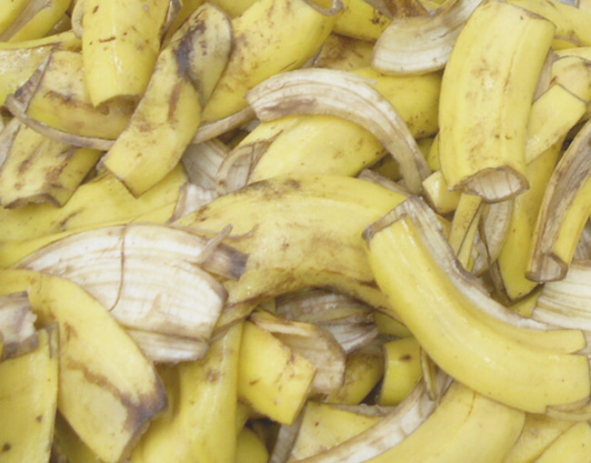 ▲加工の際廃棄されていたバナナの皮