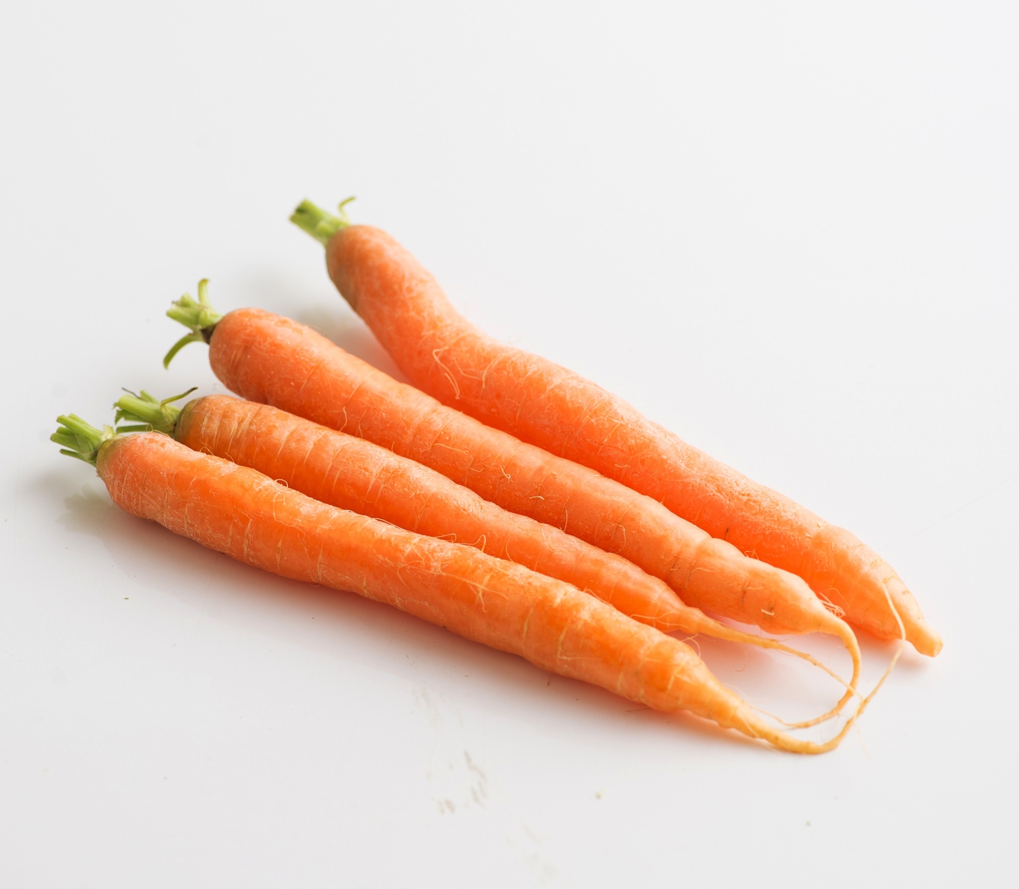 無料印刷可能人参 の 種類 最高の花の画像