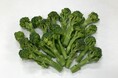 収穫量不足の産地と家計を応援 Oisixは「野菜の未利用部分」の活用を提案 新商品として「甘みがぎゅっ!ブロ次郎」が発売(2/13~)