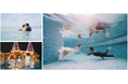 ベッセルグループ創業100周年を記念し「水中フォトウェディング付スイートルームプラン」を【10組限定】100万円にて販売開始