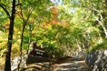 甲府市中心部近郊の山梨県立「武田の杜保健休養林 健康の森」にマウンテンバイクエリアがオープン！初心者やファミリーが楽しめる7つのコース！