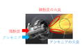 碧南火力発電所4号機におけるアンモニア燃焼実証に適用されたアンモニアバーナが、令和7年度全国発明表彰の発明賞を受賞