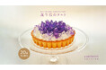 ”まるで鉱物”2月の誕生石アメシストをイメージした誕生石のタルトを限定販売