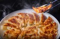【喜多方ラーメン坂内】楽天スーパーセールでオリジナル餃子販売開始!登録者数27万人の大人気Youtuberも開発に参画
