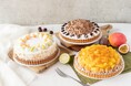 【DISHES and TART SAN】夏を彩るフルーツスイーツ。新作タルトとかき氷が登場