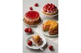【DISHES and TART 『SAN』】愛知6店舗あるタルト専門店SANで『旬の国産いちご』を使用したいちごフェアを3か月限定開催!今しか味わえない特別な苺スイーツをぜひお楽しみください。
