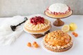 【DISHES and TART SAN】新しい一年の始まりに。心華やぐ新作タルトが登場！