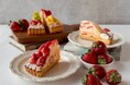 【DISHES and TART SAN】旬のいちごを楽しむ「いちごフェア」を開催／2026年2月16日～季節限定タルトを販売。