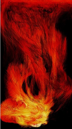 憑依する炎 Universe of Fire Particles