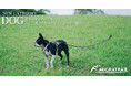 遊びのフィールドを愛犬ともっと広く、もっと一緒に。MIGRATRAIL（ミグラトレイル）新カテゴリー「DOG」。