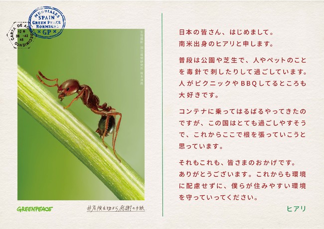 グリーンピース ジャパンが 危険生物 から感謝の手紙 を届ける 気候変動などの環境問題に気づきを与える 巨大な手紙 が10月29日 金 渋谷に出現 国際環境ngoグリーンピース ジャパンのプレスリリース