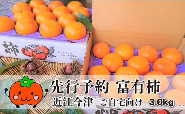 滋賀県高島市産　実生庵の富有柿