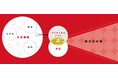 朝日広告社 社会課題の中から、生活に身近なのに見落とされがちな課題にフォーカスし、新たな市場を創造するソリューションチーム『ASAKO Critical Concept Center』を発足