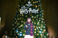 ワーナー ブラザース スタジオツアー東京 ‐ メイキング・オブ・ハリー・ポッター 初めてのクリスマス・シーズンを彩るツリーが登場!