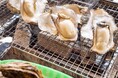 「日立シビックセンターで牡蠣小屋」出張かき小屋が茨城 日立に出店「地域活性・東北復興支援プロジェクト 出張カキ小屋 牡蠣奉行」が日立シビックセンター広場 で短期出店(2/28-3/23)日立新都市広場