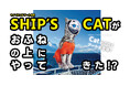 ヤノベケンジ「SHIP’S CAT」が、神戸三宮発のジャンボフェリー「あおい」展望デッキに!?|瀬戸内国際芸術祭2025作品
