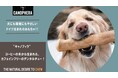 【コーヒーの木から生まれた犬用おもちゃ「CANOPHERA(キャノフィラ)」】かじる楽しみが寄付につながる!補助犬支援にも参加できるクラウドファンディング開始