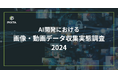 『AI開発における画像・動画データ収集実態調査2024』発表