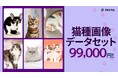 PIXTA、機械学習用「猫種画像データセット」販売開始