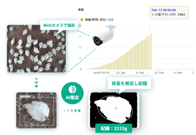 Webカメラの画像をAI分析しニワトリの体重を推定