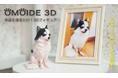 【新サービス開始】大切なペットとの思い出を、ずっと手元に。「OMOIDE 3D」8月1日より受付開始!