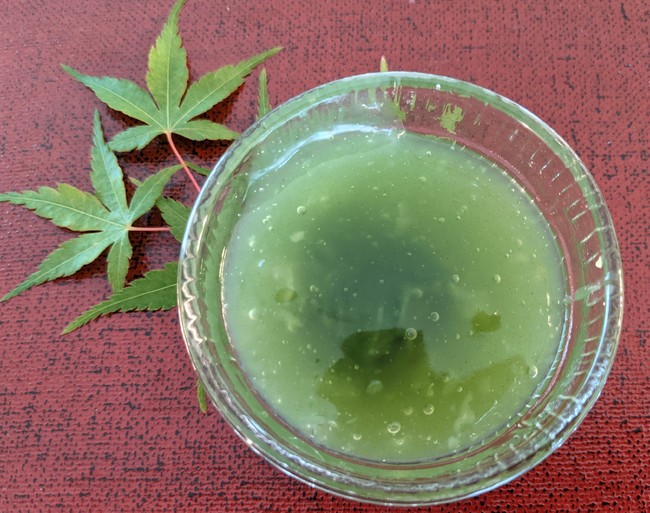 抹茶餡入り抹茶葛饅頭