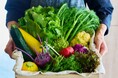 軽井沢ブランド野菜「霧下野菜」のサマーランチビュッフェ 8月1日より提供開始