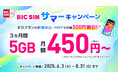 【8月31日まで】BIC SIMサマーキャンペーンで月額料金が3ヵ月間最大500円割引!店頭申込みでビックポイント最大12,000ポイントプレゼント