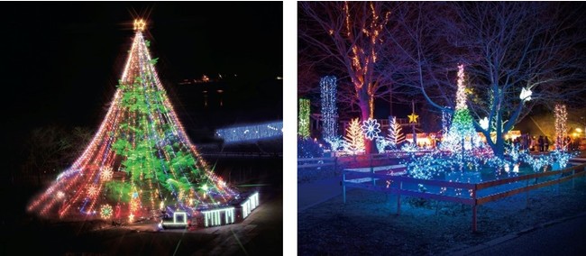 イベントのシンボル、ジャンボクリスマスツリー(左)　プロムナードのイルミネーション(右)　※写真は過去の様子