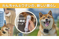 散歩もトレーニングもこれ一つで！ペット用品×テクノロジーを掛け合わせた最新多機能リード「GOGOLEASH」がMakuakeに登場！