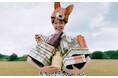 【ジョー マローン ロンドン】英国の菜園から生まれる、飾らない美しさ「Brit Veggies Collection」発売