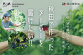 秋田県由利本荘市矢島でブドウ作りに励み、昨年念願のワイナリーをオープンしたTOYOSHIMA FARM。今年は栽培が難しいとされる「ピノノワール」をあえて使用した、新酒「ヌーボー」に挑戦中!