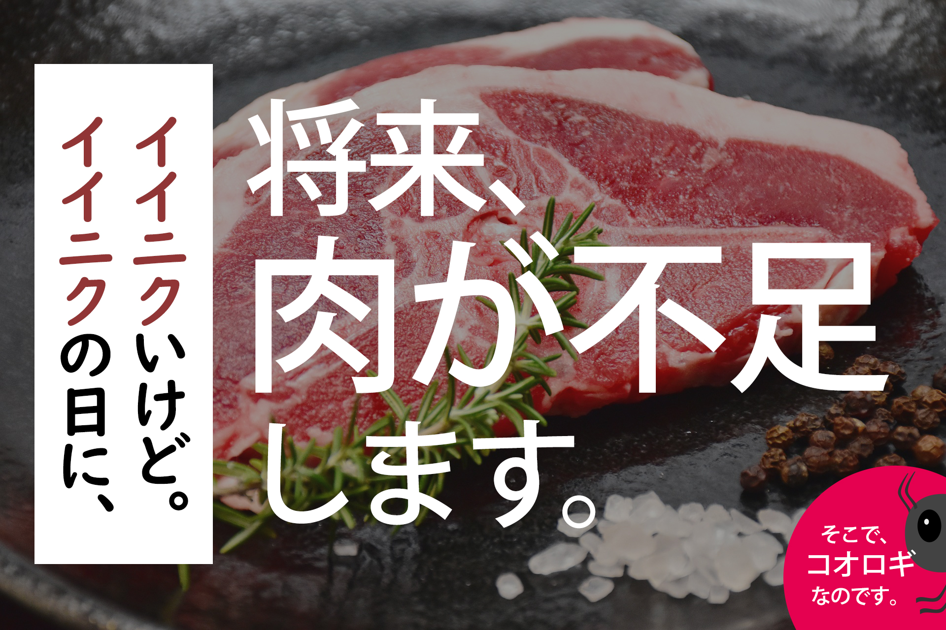 イイニクの日にイイニクいけど 将来 お肉 が不足します 長野県で食用コオロギの養殖に挑むクリケットファーム コオロギオイルでは特許も出願中 株式会社cricketfarmのプレスリリース イイニクの日にイイニクいけど 将来 お肉 が不足します 長野県で食用コオロギの養殖に挑むクリケットファーム コオロギオイルでは特許も出願中 株式会社cricketfarmのプレスリリース