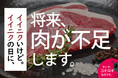 イイニクの日にイイニクいけど、将来、お肉が不足します。長野県で食用コオロギの養殖に挑むクリケットファーム。コオロギオイルでは特許も出願中