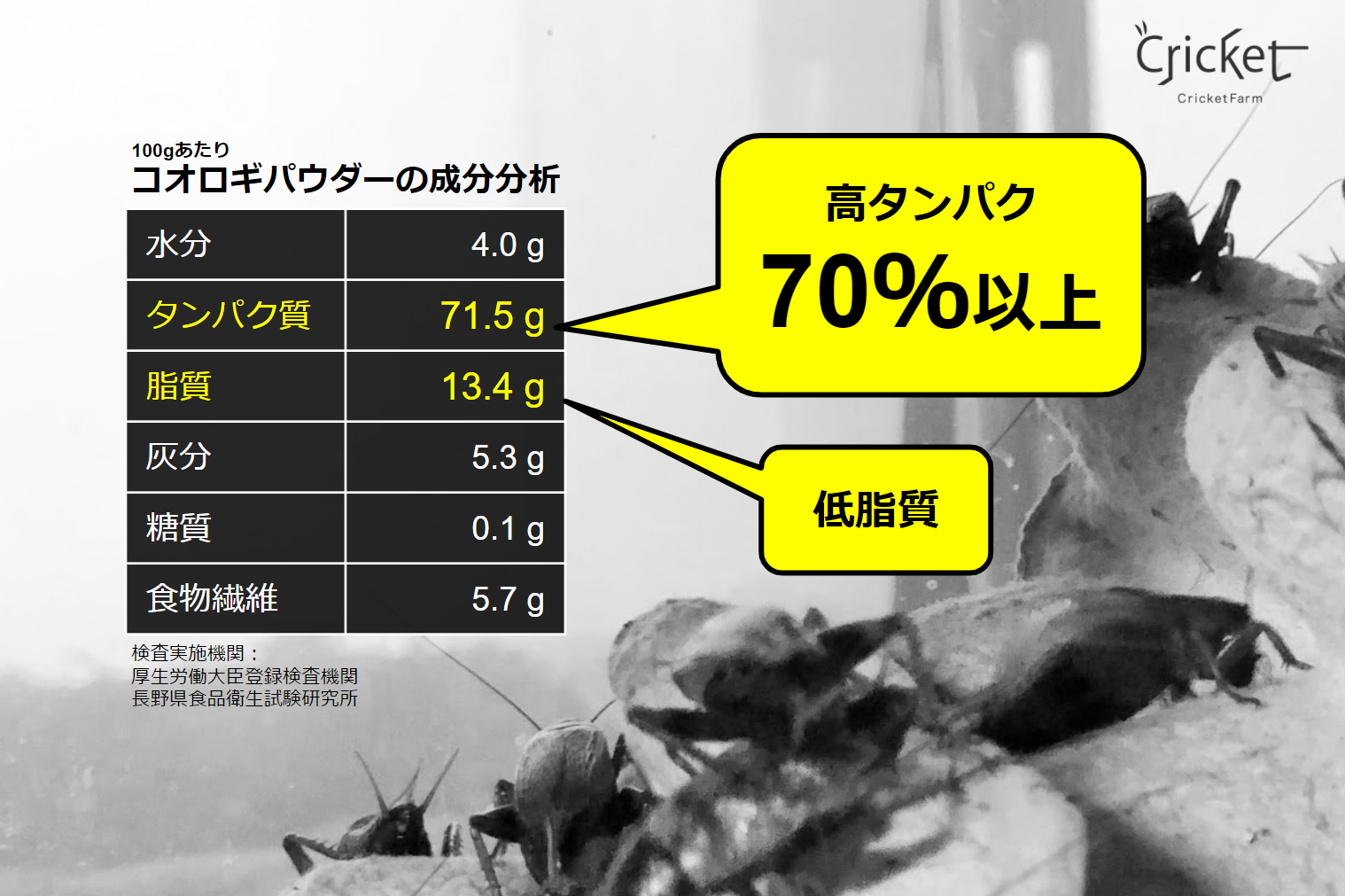 タンパク質70%以上！自社のコオロギを成分分析してみた結果、やはりコオロギはスーパーフードだった｜株式会社CricketFarmのプレスリリース