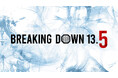 10月5日(土)開催『BreakingDown13.5』の対戦カード決定! 本日よりPPVチケット販売がスタート