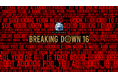 『オオカミプロジェクト presents BreakingDown16』大注目の追加試合が決定!