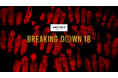 BreakingDown18シルバースポンサーにV CLINIC、HTF、H.L.B／VO-VO-、VITABON JAPAN、Tクリニック、XENIS、god savageが就任！