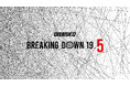 BreakingDown19.5シルバースポンサーに V CLINIC、HTF、VO-VO-／H.L.B、VITABON JAPAN、T-CLINIC、XENIS が就任