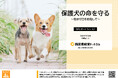 保護犬の命をつなぐ社会へ。犬と人の未来に向けた実態をレポート