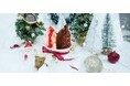 クリスマスを感じる限定フレーバー!ジェラート専門店「GELATERIA solege」にて2024年12月12日(木)から販売開始