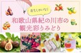 りんくうアウトレット×和歌山観光イベント 「おもしゃいな！和歌山県紀の川市の観光彩りみどり」8月24日（土）・25日（日）開催