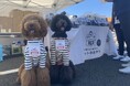 昨年約4,000名来場のわんちゃんと楽しめる祭典が今年も開催 「御殿場プレミアム・アウトレット ドッグフェスティバル」10月26日(土)・27日(日)
