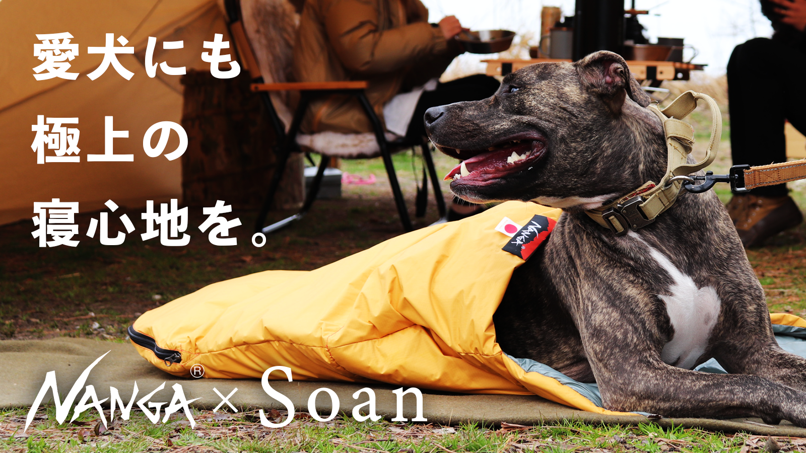 元ナンガ社員考案！【NANGA×Soan】愛犬とキャンプを楽しむ犬用