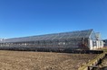 名大発VBグランドグリーン、開発の加速に向け、研究農場を愛知県豊橋市に開設