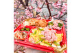 3月29日開催の『かわねさくらマルシェ』で桜色の『ホホホタケ』入り『お花見弁当』販売