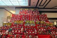 春を告げる、まちじゅうの雛景色！新潟県「胎内市のひなまつり2026」｜寄贈されたひな人形が3会場で再び輝く、2か月間の展示